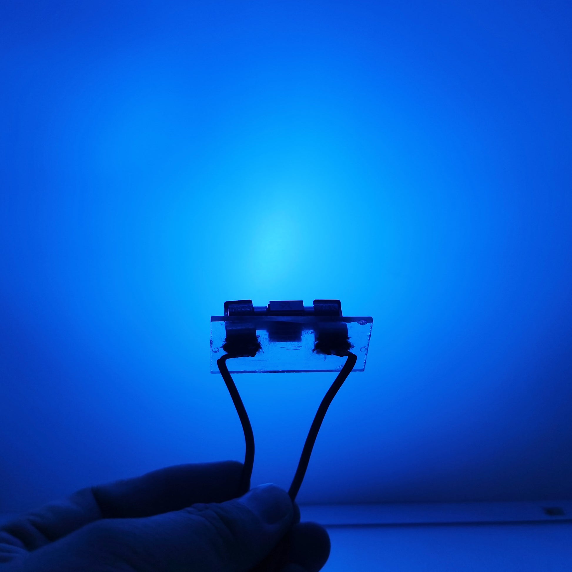 Riglow™ 31mm 2SMD 1860 Dual Colour CANBUS LED Festoon Bulb – White + Icy Blue | 400LM | 2.5W | AC 10–24V-13