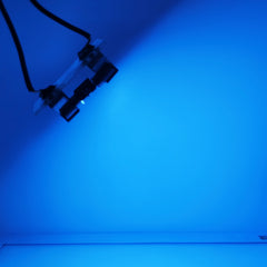 Riglow™ 31mm 2SMD 1860 Dual Colour CANBUS LED Festoon Bulb – White + Icy Blue | 400LM | 2.5W | AC 10–24V-14