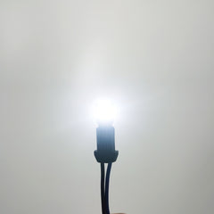 Riglow™ T10 CANBUS LED Bulb – 12×4014 SMD + 2×3030 SMD | 400LM | 2W | AC10–50V-9
