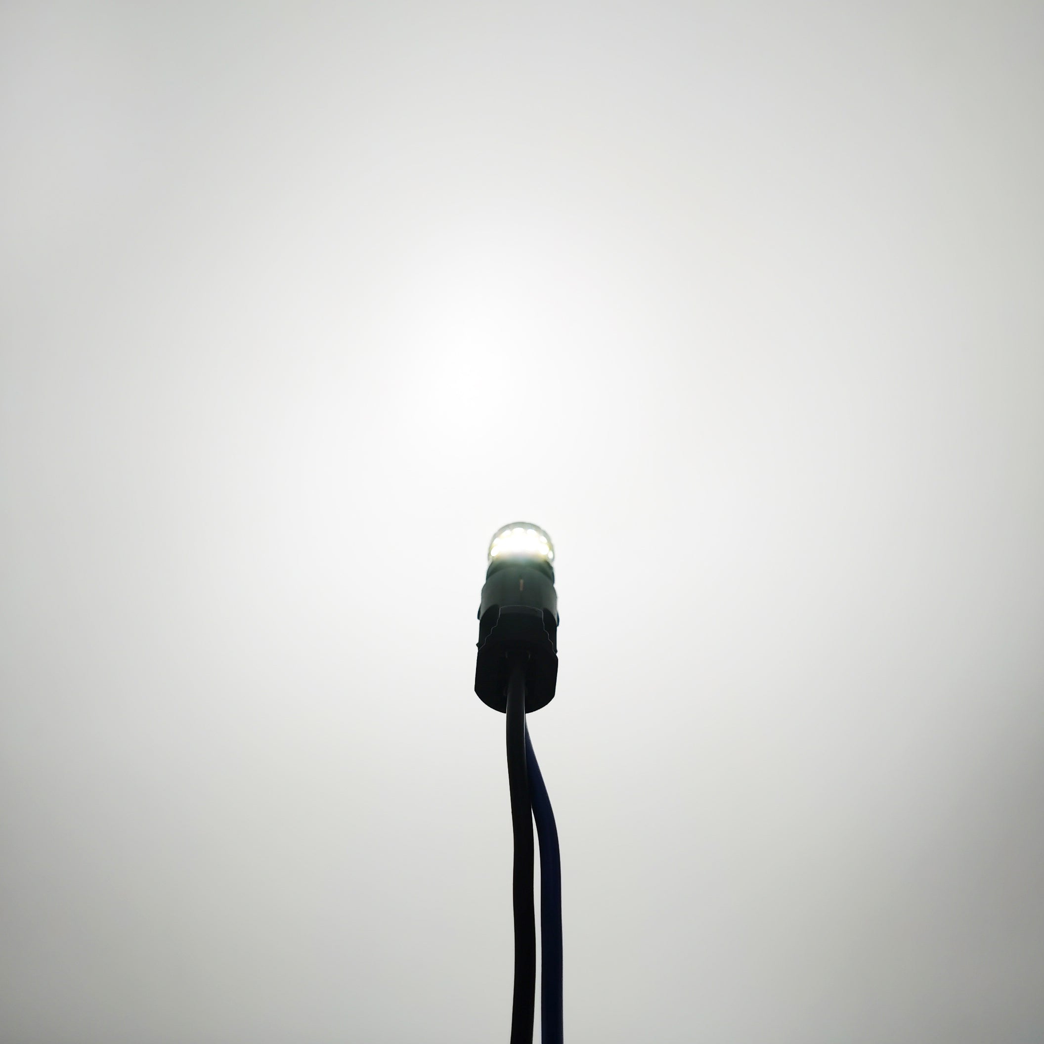 Riglow™ T10 CANBUS LED Bulb – 12×4014 SMD + 2×3030 SMD | 400LM | 2W | AC10–50V-11