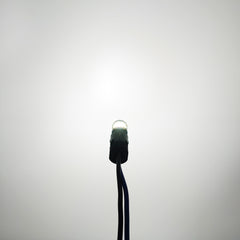Riglow™ T10 CANBUS LED Bulb – 12×4014 SMD + 2×3030 SMD | 400LM | 2W | AC10–50V-11
